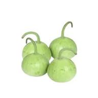 RoundPumpkinKadduGol_frisch